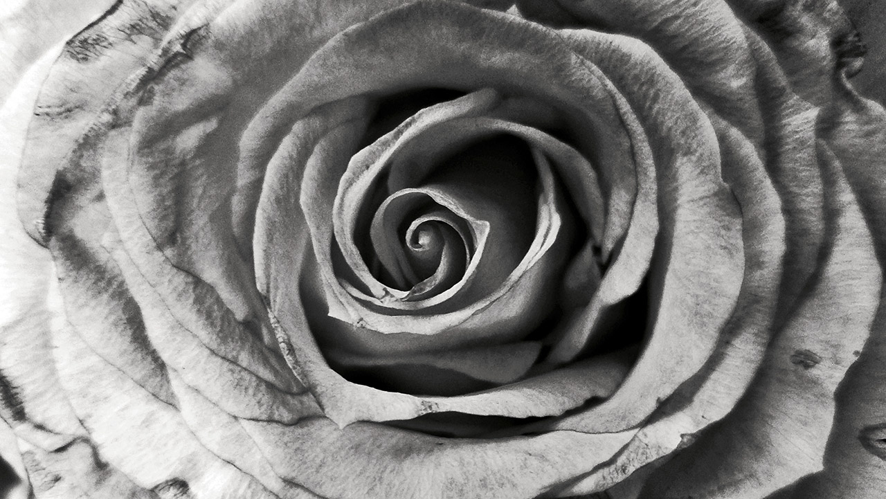 Natur im Detail | © Mio Schweiger Fotografie